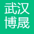 武汉博晟安全技术股份有限公司