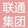中国联通集团北京市通信有限公司