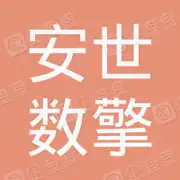 安世数擎(杭州)信息科技服务有限公司