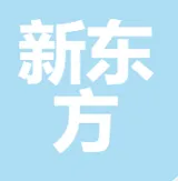 南京新东方文化艺术发展有限公司