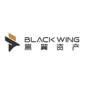 上海黑翼资产管理有限公司