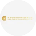 融资担保集团