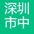 中电电力