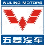 广西汽车集团有限公司